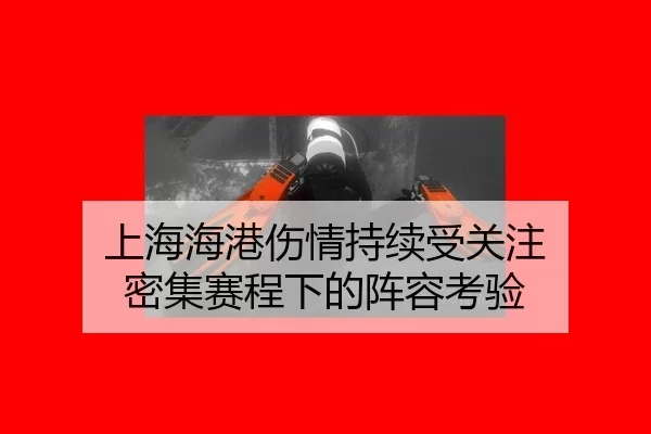 shang-hai-hai-gang-shang-qing-chi-xu-shou-guan-zhu-mi-ji-sai-cheng-xia-de-zhen-rong-kao-yan-2-789.jpg